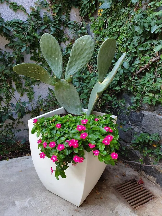 Holiday home Il Melograno Dell'Etna Villa Aci Bonaccorsi